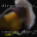 Camping story