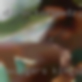Swingers Kingsport