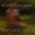 Westlake Village swingers